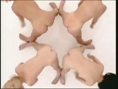כך מצלמות מין חינם רוב הבנות מבלות בשירותים.