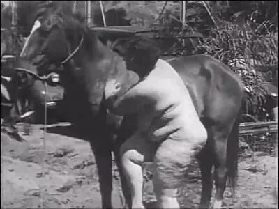 לעזאזל עם המכון, לעזאזל עם זוגות שמתנודדים בצריף של סטודנט סקס בלייב מין חינם טרי.